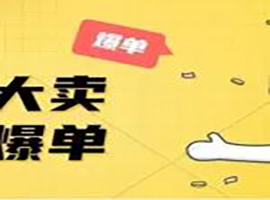 “黑五”大賣 “網一”爆單！